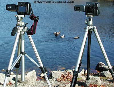 Velbon Tripods