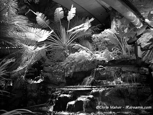 Digital Infrared by by Chris Maher