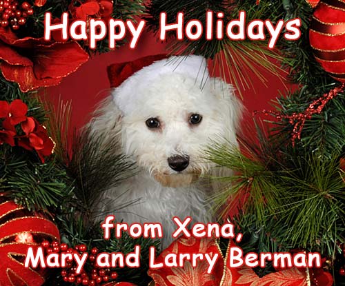 happy holidays 2008