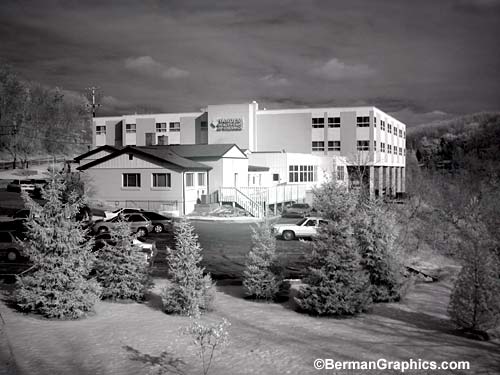 Digital Infrared with the CoolPix 5000