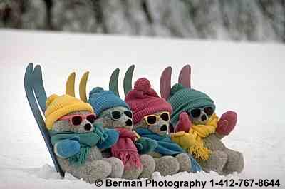 teddy bears sking
