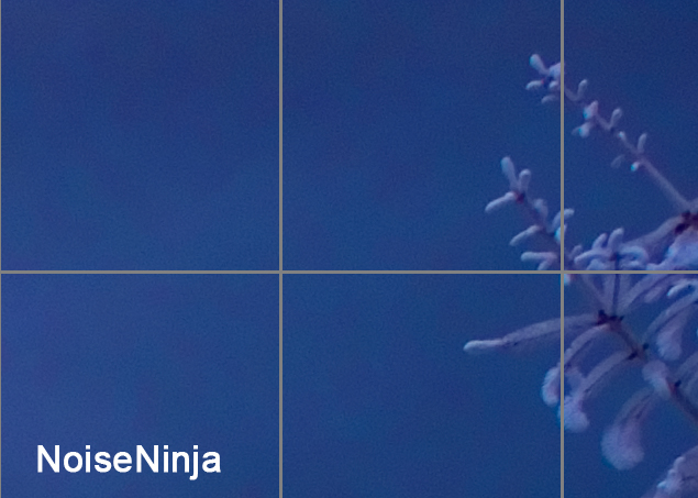 Noise Ninja 